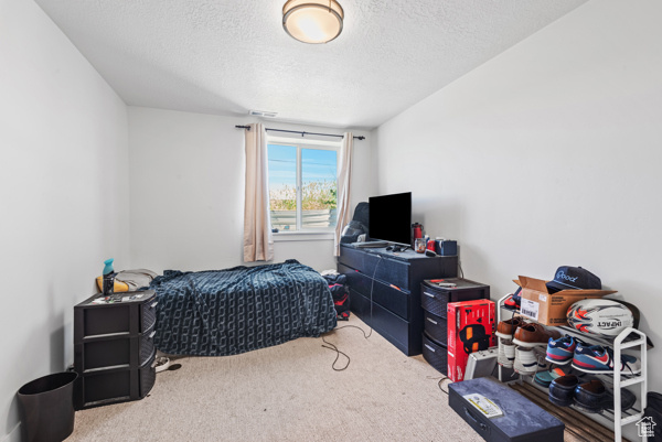 Bedroom featuring carpet and a textured ceiling