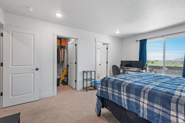 Bedroom with carpet flooring, a spacious closet, recessed lighting, baseboards, and a textured ceiling