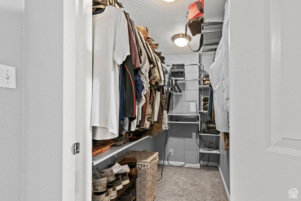 Spacious closet featuring carpet floors