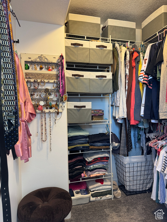 Spacious closet with carpet