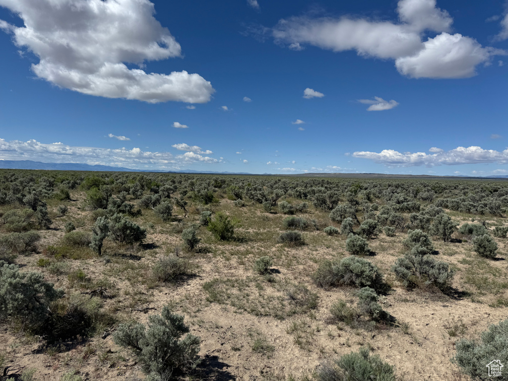 View of undeveloped land