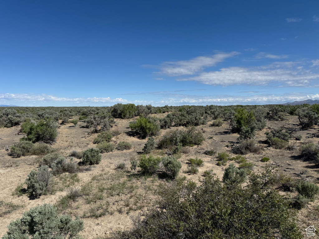 View of local wilderness with a desert landscape