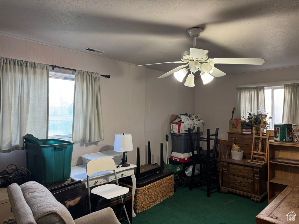 Office with healthy amount of natural light, carpet flooring, and ceiling fan