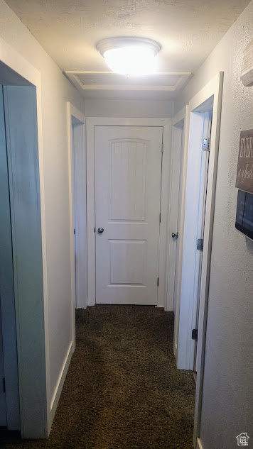 Hall with carpet