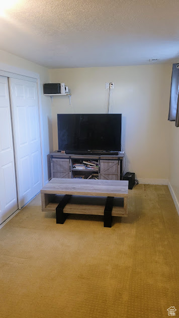 Living area featuring baseboards, a textured ceiling, and carpet