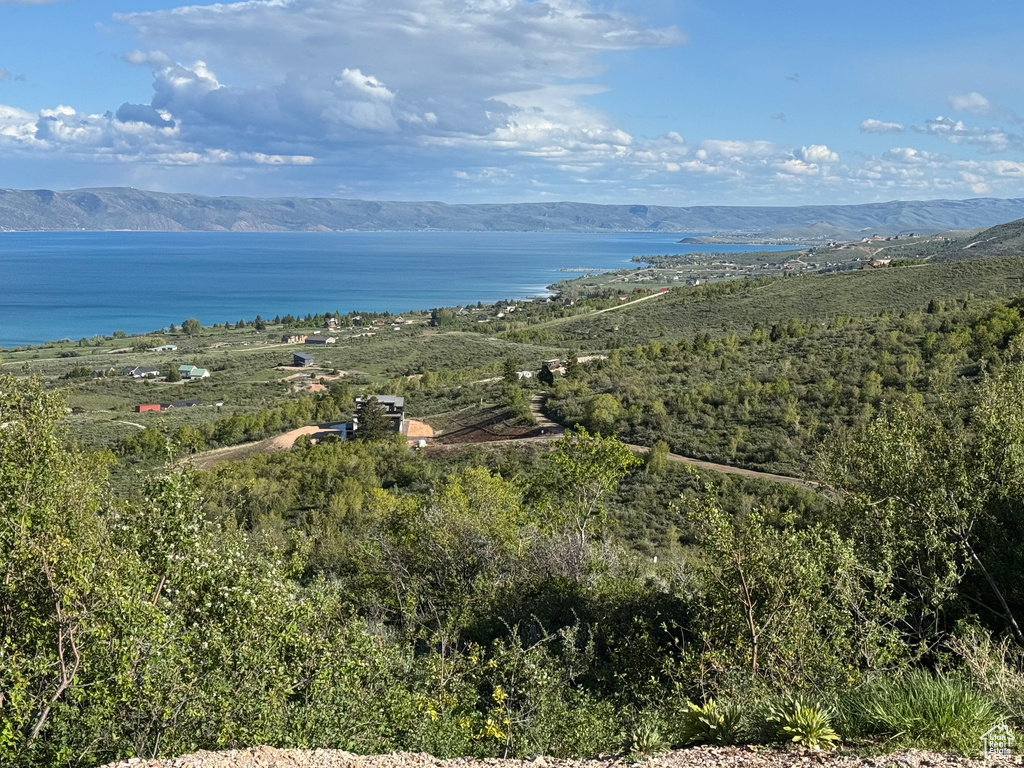 Bird\\\'s eye view of a water and mountain view