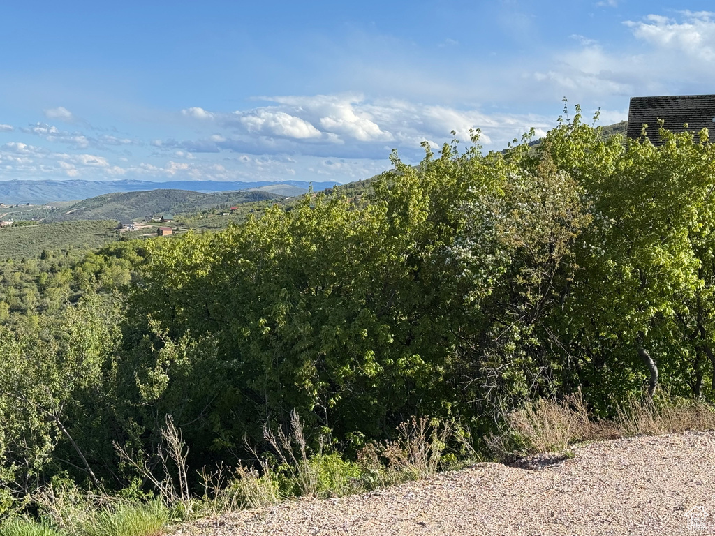 Mountain view