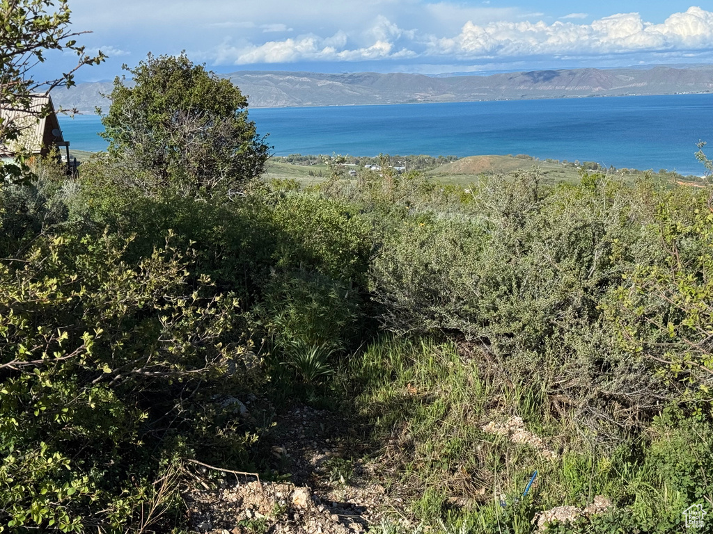 Water view featuring a mountainous background