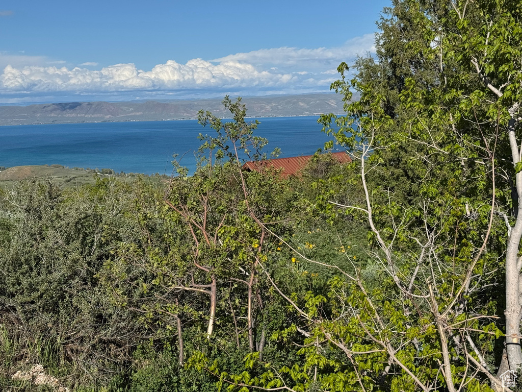 Water view featuring a mountain backdrop