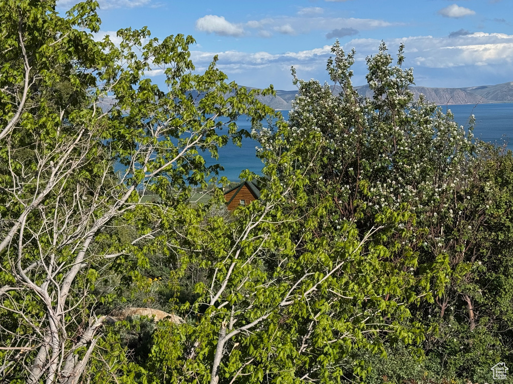 Water view featuring a mountain backdrop