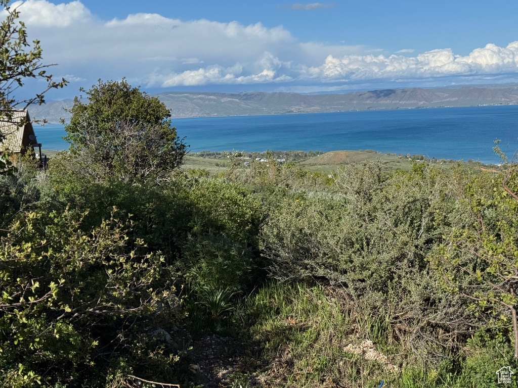 Water view featuring a mountainous background