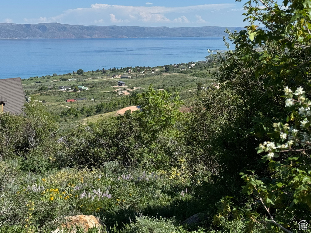 Water view