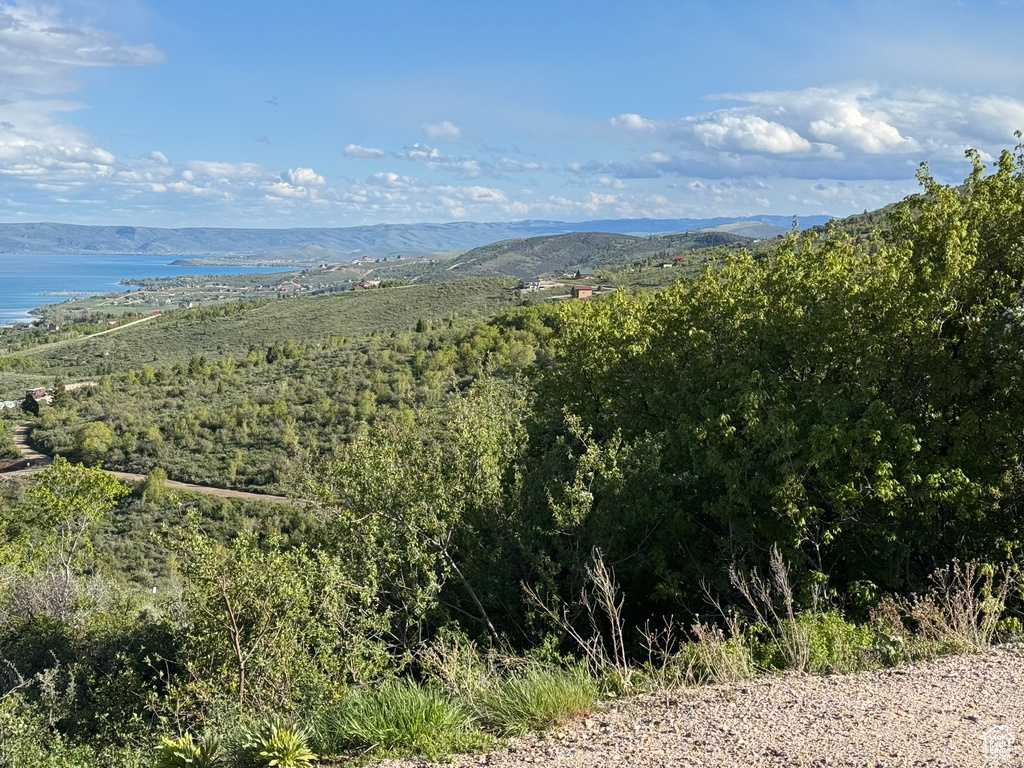 Mountain view