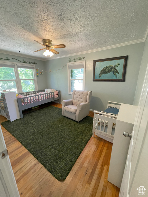 Bedroom with a textured ceiling, multiple windows, light wood-type flooring, crown molding, and a ceiling fan