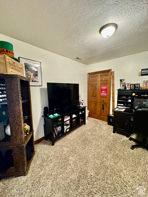 Carpeted home office with a textured ceiling