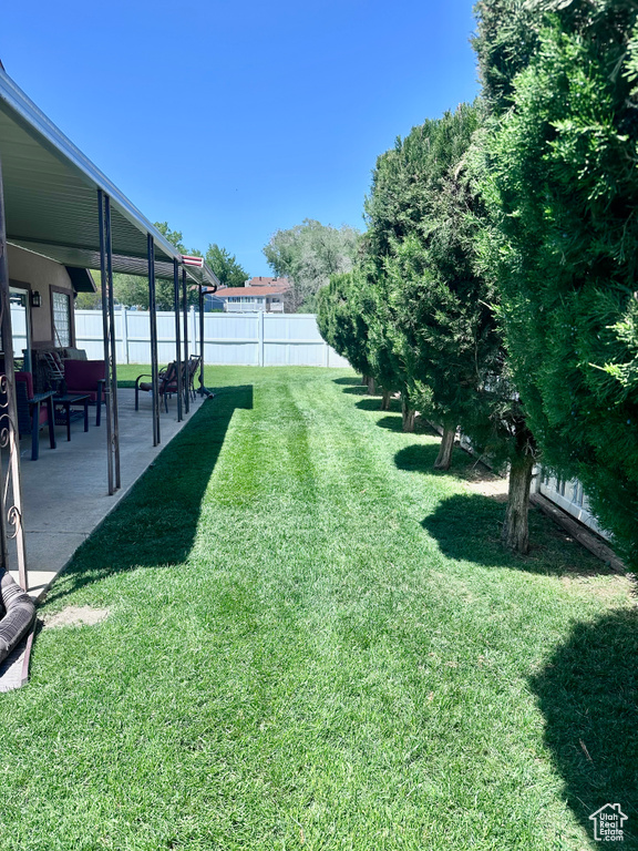 View of yard featuring a patio