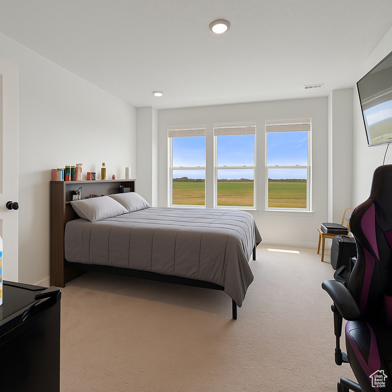 Bedroom featuring carpet floors and recessed lighting