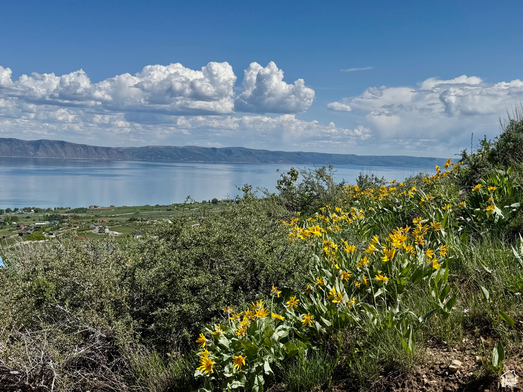 Water view featuring mountains