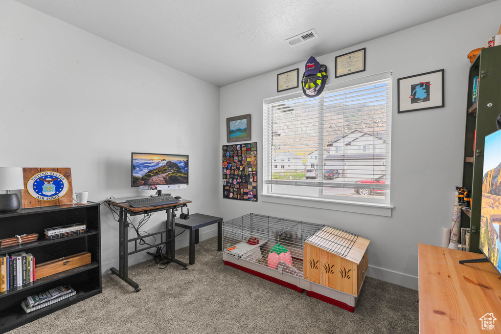 Home office with carpet flooring and baseboards