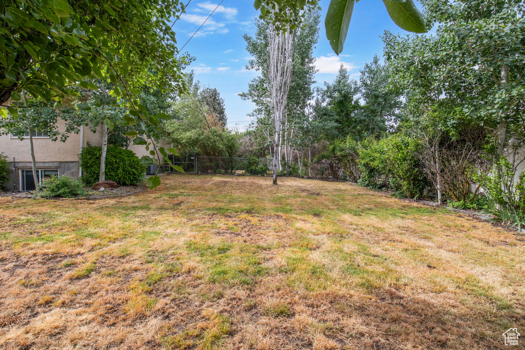 View of grassy yard