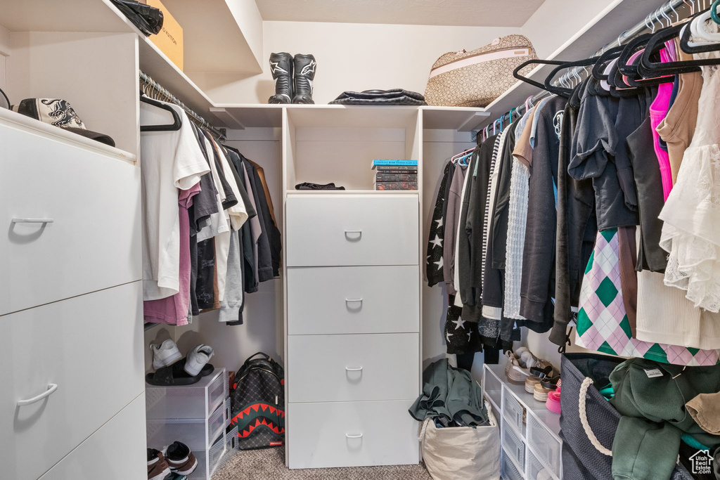 Walk in closet with carpet floors
