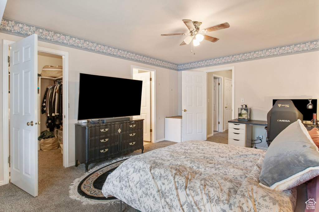 Carpeted bedroom with a walk in closet, a closet, and baseboards