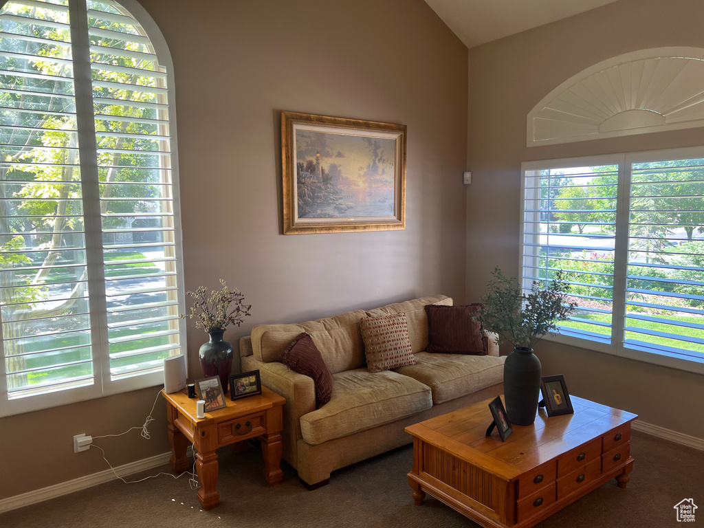 Carpeted living area with baseboards and plenty of natural light