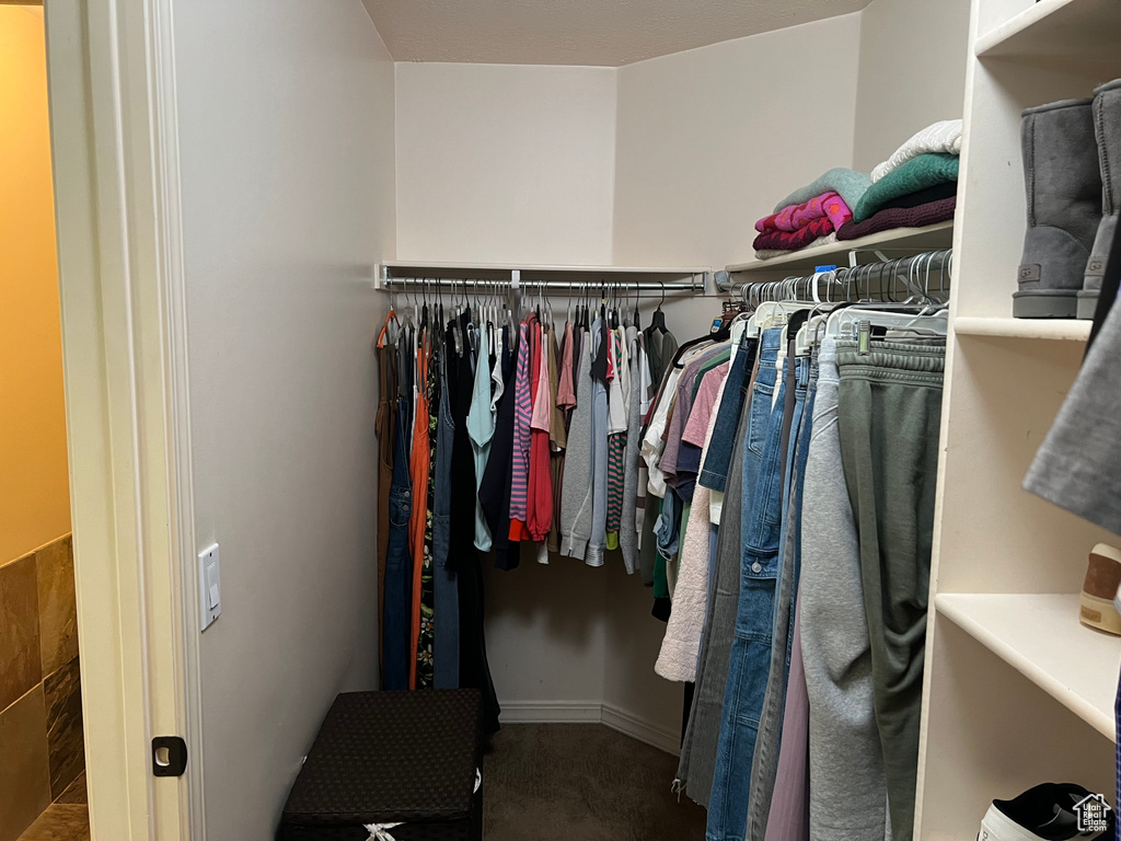 Walk in closet featuring carpet floors