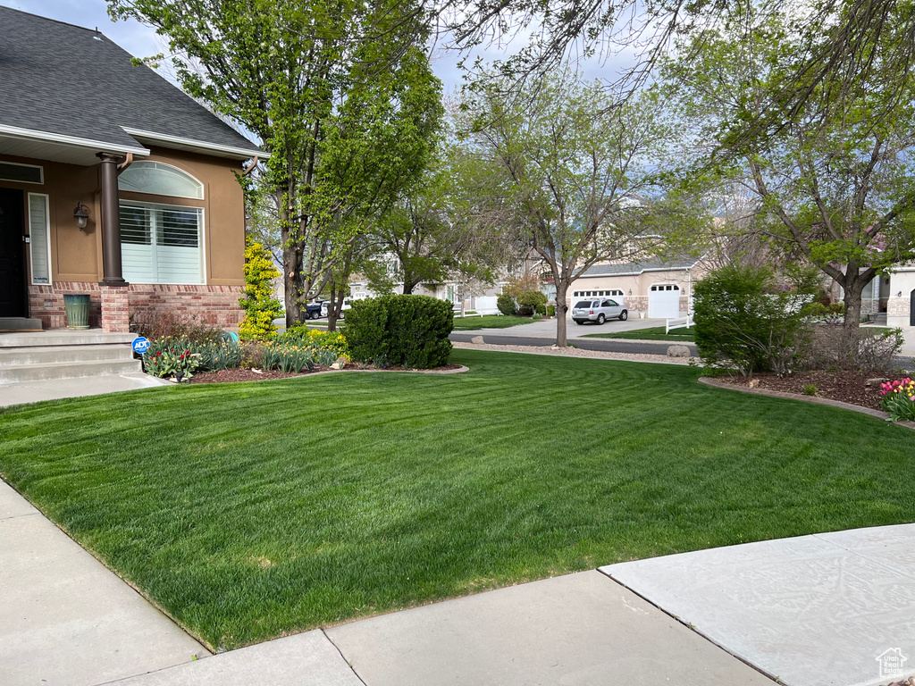 View of green lawn