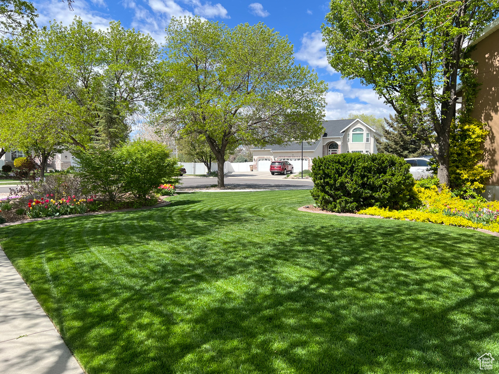 View of grassy yard