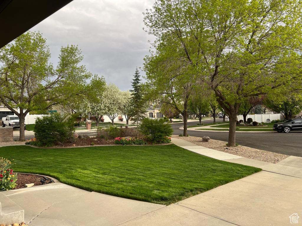 View of community with a lawn