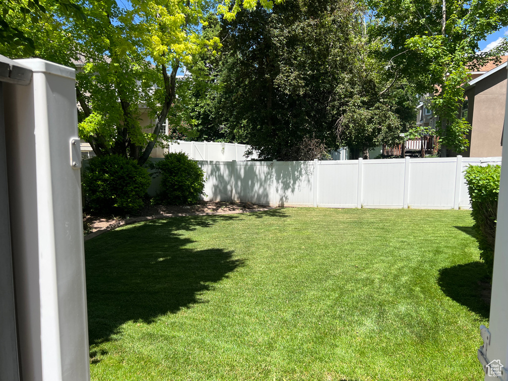 View of yard