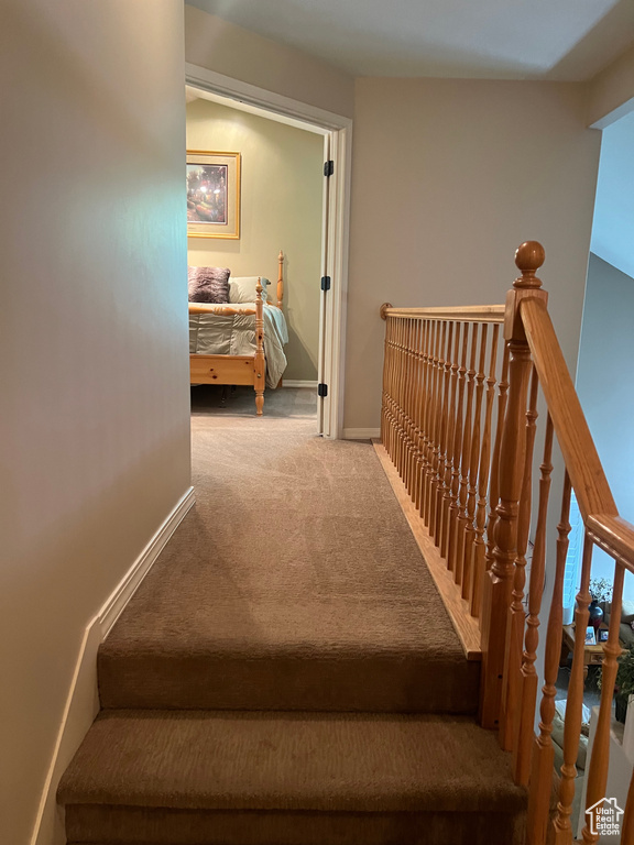 Stairway with carpet floors and baseboards
