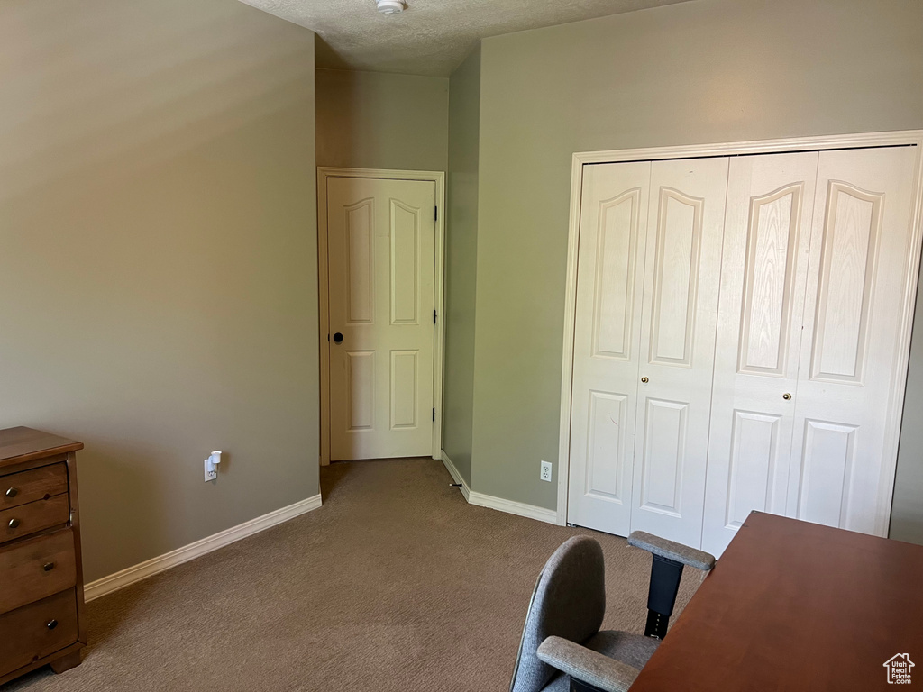 Unfurnished office featuring carpet, baseboards, and a textured ceiling