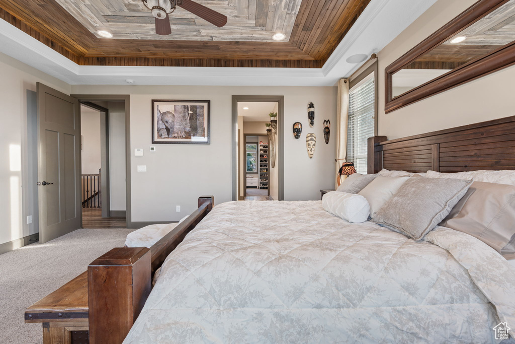 Carpeted bedroom with a raised ceiling, a walk in closet, recessed lighting, baseboards, and a ceiling fan