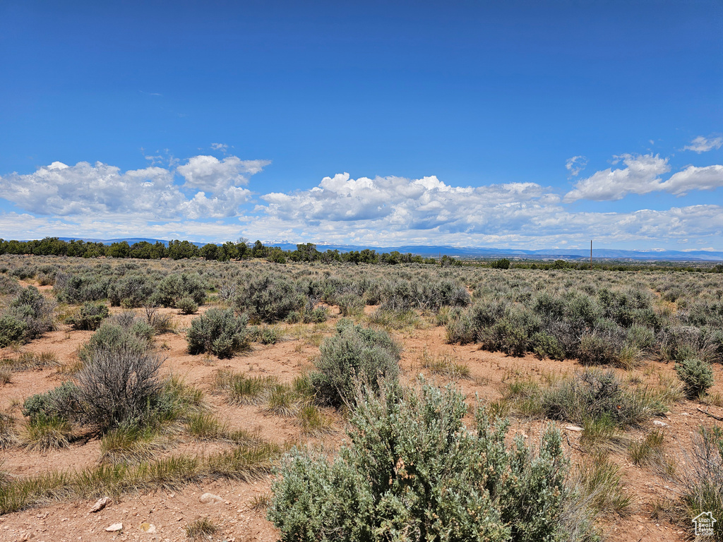 View of undeveloped land