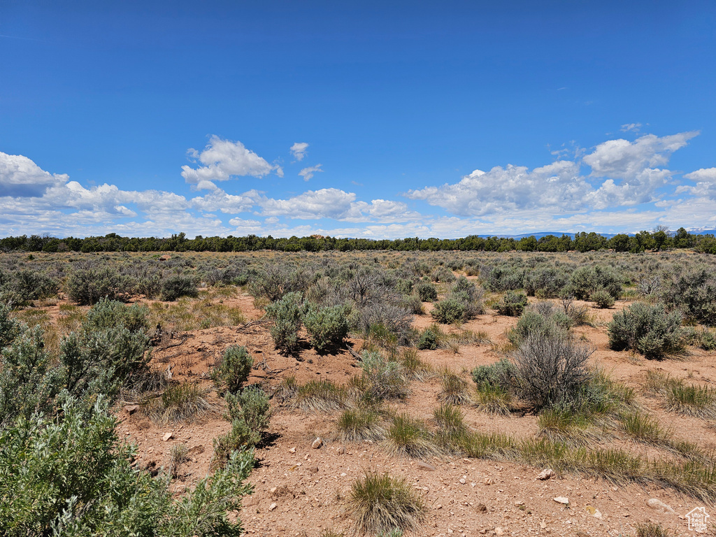 View of local wilderness featuring rural landscape