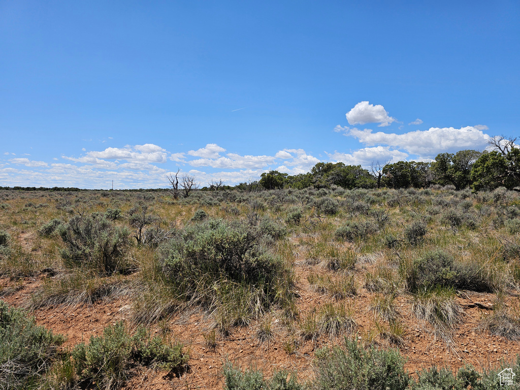 View of undeveloped land