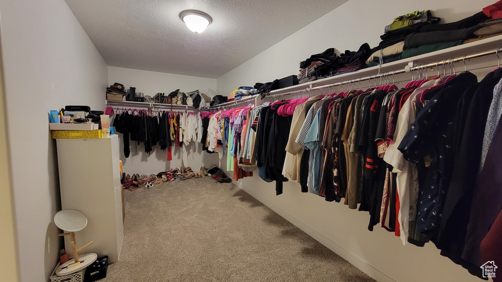 Spacious closet featuring carpet