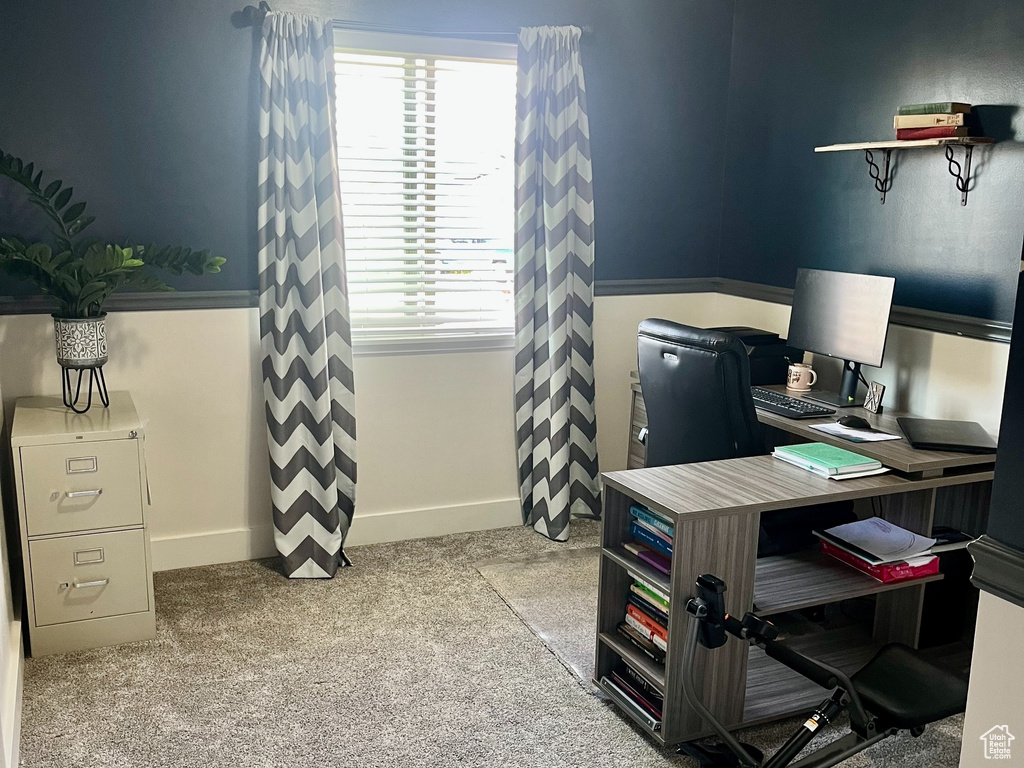 Office space featuring a textured ceiling, carpet flooring, and baseboards