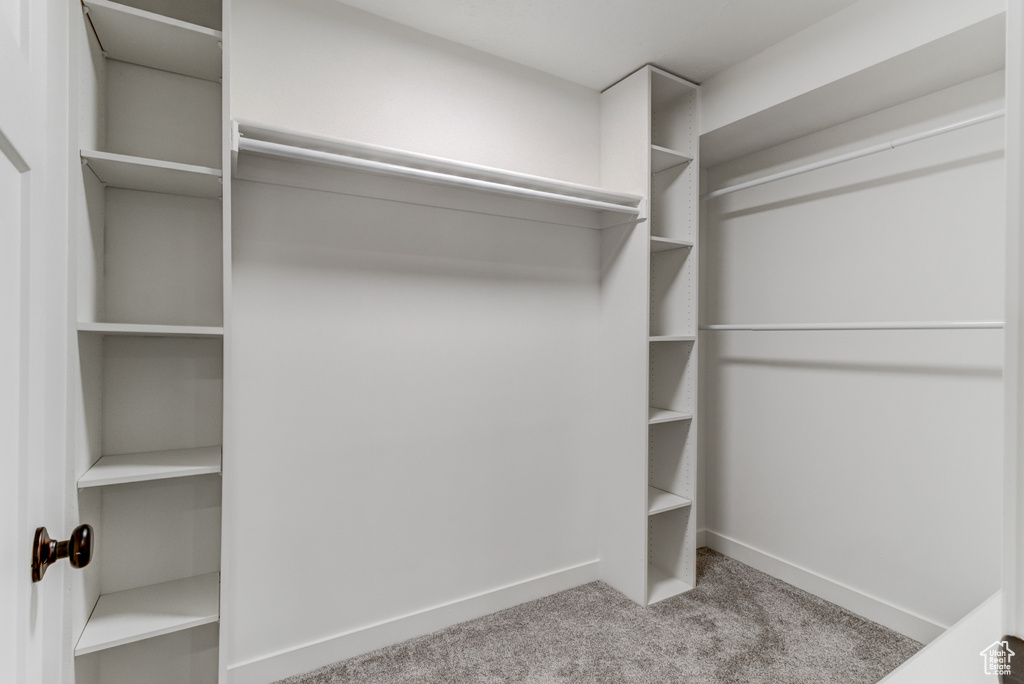 Walk in closet with carpet flooring