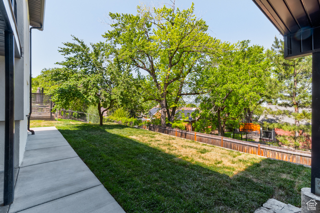 View of yard