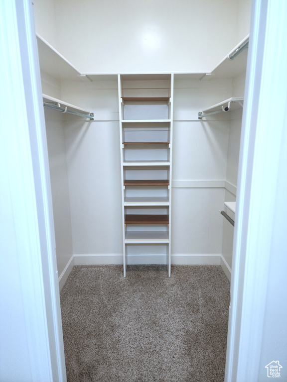 Spacious closet featuring carpet floors