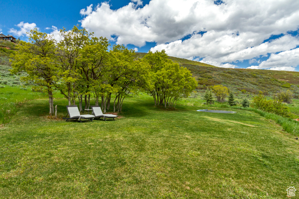 View of grassy yard with a mountain view