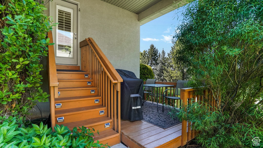 View of wooden deck