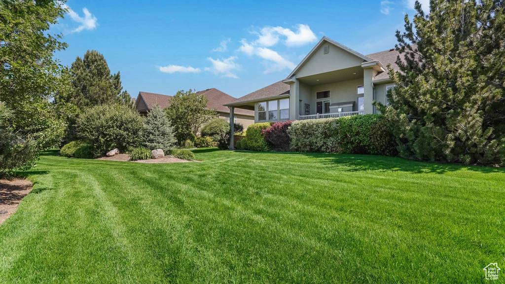 View of grassy yard