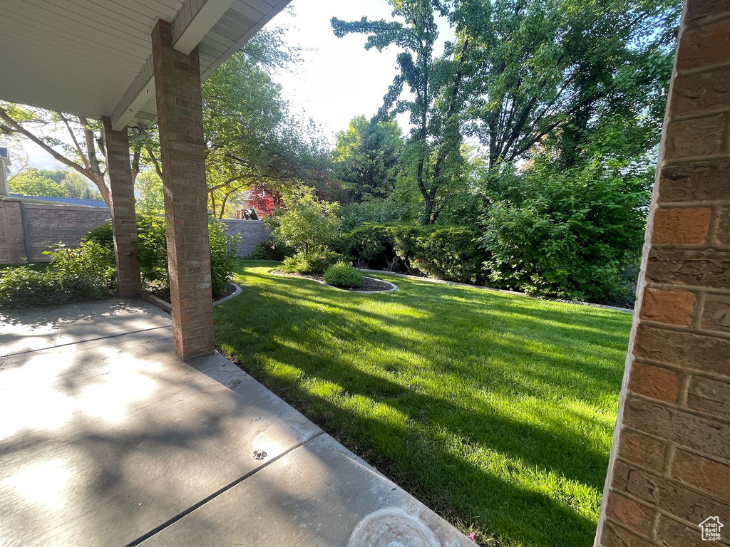 View of yard featuring a patio area