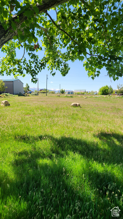 View of yard featuring a rural view