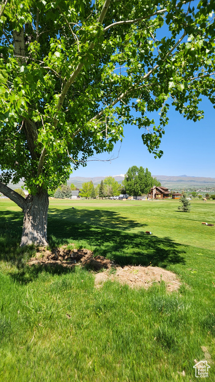 View of green lawn featuring a mountain view