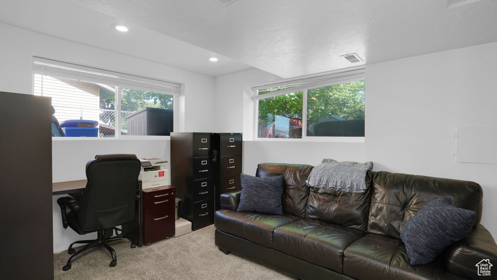 Office with light colored carpet and recessed lighting
